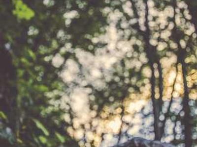 What to Watch and Read This Weekend: Betty Gilpin vs. AI, Round Two