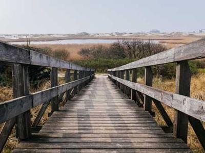 The Different Ways to Select  in CSS