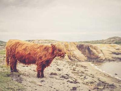 Roman Statues Weren’t White; They Were Once Painted in Vivid, Bright Colors