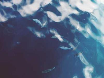 What to Watch and Read This Weekend: Betty Gilpin vs. AI, Round Two