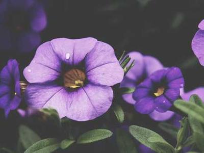 Roman Statues Weren’t White; They Were Once Painted in Vivid, Bright Colors