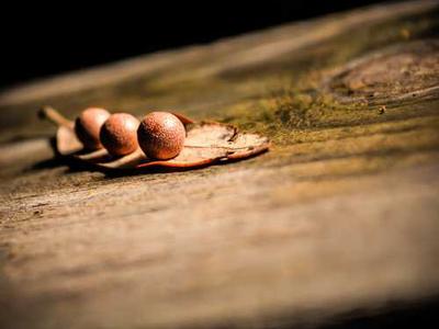 Millions of new solar system objects to be found and 'filmed in technicolor' -- studies predict