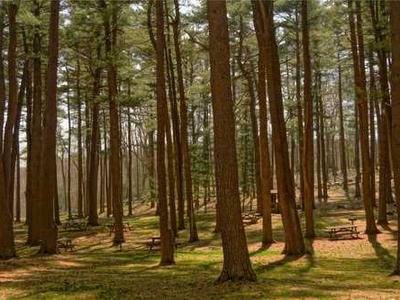 Millions of new solar system objects to be found and 'filmed in technicolor' -- studies predict