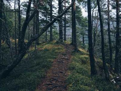 What to Watch and Read This Weekend: Betty Gilpin vs. AI, Round Two